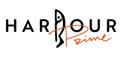 The image is a logo with the text "Amazon Prime," featuring "Amazon" in black and "Prime" in orange script.