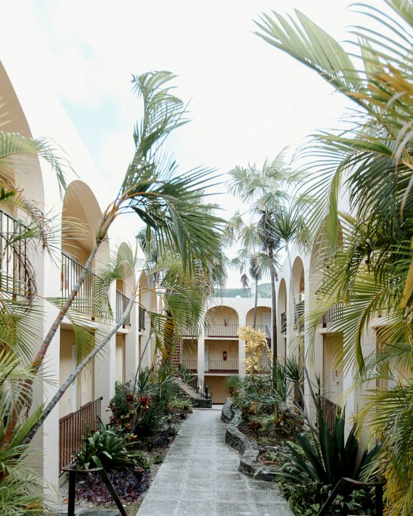 A courtyard with arched walkways, lush palm trees, and a pathway leading through the center, surrounded by a serene, tropical atmosphere.