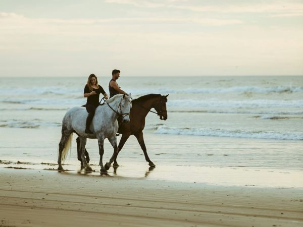 Two people riding horses along a beach shoreline with gentle waves under an overcast sky, creating a serene and picturesque scene.