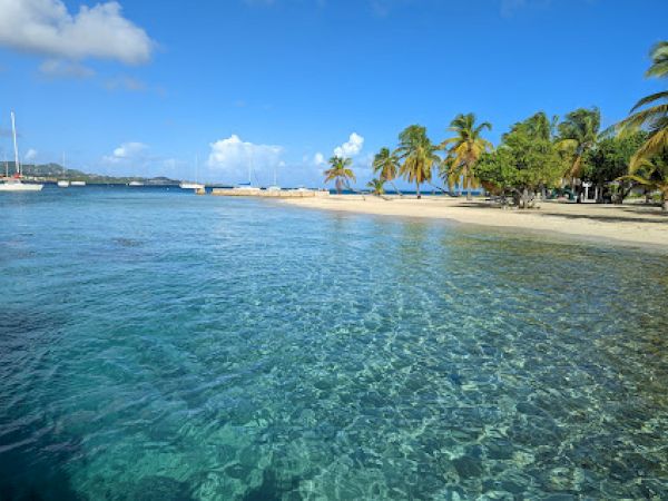 A tropical beach with clear blue water, palm trees, and boats anchored in the distance under a bright blue sky.