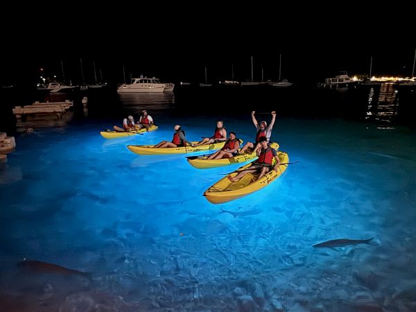 People paddle yellow and blue kayaks at night in a marina with boats moored in the background.